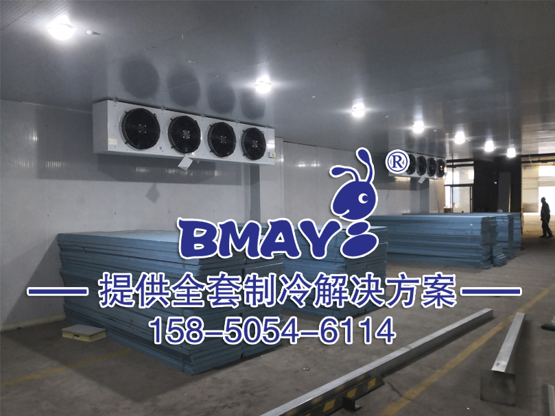 �߲˱������