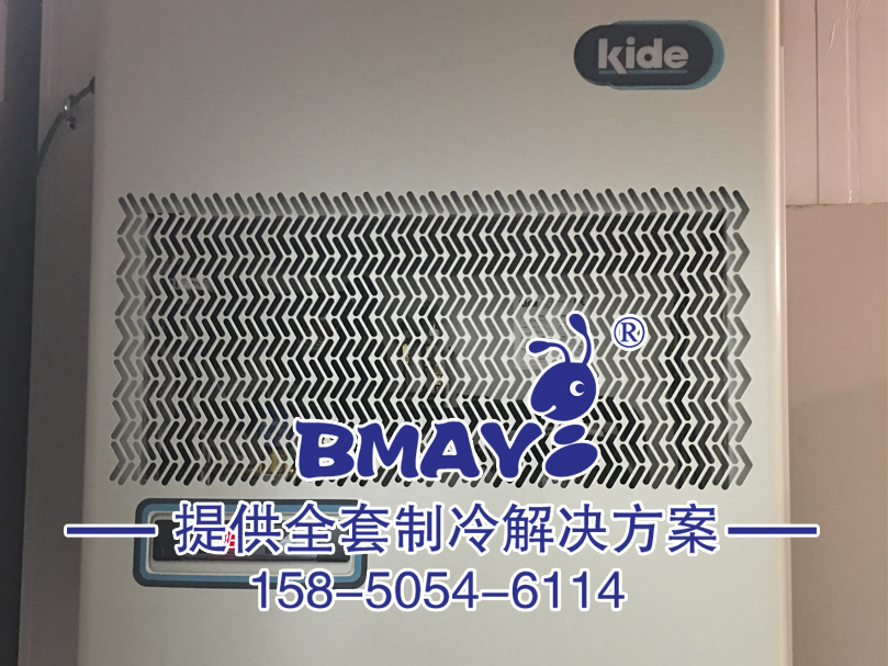 �߲˱������